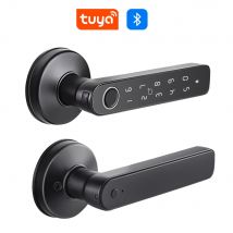 Q50 Bluetooth tuya Door Knobs Fingerprint Lock Handle Door Entrance Passage RFID CardLock With Key Password Lock IP65 waterproof