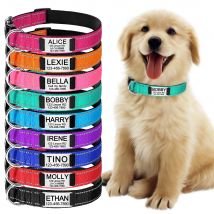Collare per cani riflettente regolabile in nylon con nome inciso personalizzato Etichetta identificativa Collare per cani unisex grande scintillante per cuccioli luminosi personalizzati