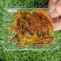 Nowy 20 sztuk nowy Mini miękka przynęta wędkarska 0.45g/45mm Ocean Rock Lure Bass miękkie ryby Swimbait sztuczna przynęta sprzęt wędkarski