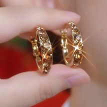 Exquisite braune Zirkon Kreis Ohrringe für Frauen Mode personal isierte tägliche Zubehör Party Schmuck Geburtstag Jubiläums geschenke