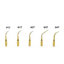 5 Teile/los Titan Gold Dental Ultraschall Scaler Tipps G1T G2T G3T G4T P1T P3T Für EMS Specht VRN Scaler Handstück
