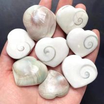 Natürliche Muscheln Shiva Auge Sonne Shell Liebe Herz Probe Mineral Anhänger Für Meditation Chakra Schmuck Machen DIY Geschenk