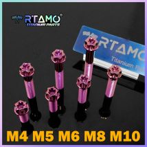 RTAMO Titanschrauben M4 M5 M6 M8 M10 Rosa Torx-Kopf für Fahrrad-Motorrad-Modifikation