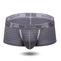 Männer Seide Boxer Shorts Gemütliche Mode Ultra-dünne Homme Höschen M-XXL Atmungsaktive Unterwäsche