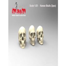 Unassambled   1/35  RESIN Skulls Set modern parts  Figure  Historical  Resin kit miniature model Unpainted