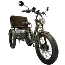 All Terrain Erwachsene 3 Rad Elektrofahrrad Passagier Fracht Elektro-Dreirad 750W 24 Zoll Familie Fat Tire Elektrofahrrad für Männer