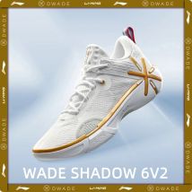 Scarpe da basket da uomo Li-Ning WADE SHADOW 6V2 On Court BOOM Cushion, scarpe sportive resistenti, sneakers LiNing con supporto stabile ABPV021