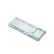 AULA F3080 Wired mechanical keyboard full - key hot - swappable Gateron switches 98 - key portable keyboard for laptops suita