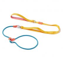 Slip Lead Hundeleine mit Doppelgriffen Hundetraining Leine Anti-Tangle Heavy Duty Leine und Halsband Kein Ziehen Welpen Gehen