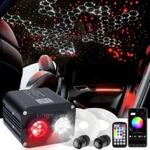 20W RGBW Doppia Testa Auto Cielo Stellato Controllo Musicale Auto Tetto Stella Fibra Ottica Stella Kit Soffitto Smart APP Scintillio Luce In Fibra Ottica