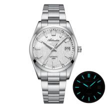 ADDIESDIVE 39mm Men's Watch AD2075 BGW9 Super Luminous 3D Bark Dial Sapphire Glass 100M Waterproof Automatic Mechanical Watch