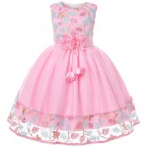 European and American embroidery dress dress girl's party lace princess dress flower child net gauze Pengpeng dress