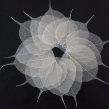 100 stücke 4-10cm getrocknete natürliche weiße Peepul Bo-Baum großen Baum Blatt Blätter Skelett Hochzeits feier nach Hause Wandbild Lesezeichen Schmuck Handwerk