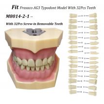 Frasaco AG3 Typodont Fit Dental 32 Pezzi Cacciavite Pratica Riempimento Gomma Morbida Gingivae Denti Modello M8014-2-1 Denti di Ricambio