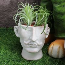 1 personalisierter Blumentopf aus Kunstharz mit verspieltem Schnurrbart-Design, der ein kreatives neues Zuhause für Grünpflanzen schaffen! Schlichtes Weiß,