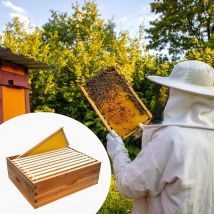 Mittelgroße Super-Bienenbox mit 10 Rahmen, mit Wachsbeschichtete Bienenstöcke mit Bienenstößelrahmen und Wachsgrundlagen, Langstroth Honey Super