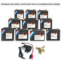 Batteria LiFePO4 per moto 12V 14L-BS 520CCA muslimit-in BMS protezione della tensione agli ioni di fosfato di litio per avviamento