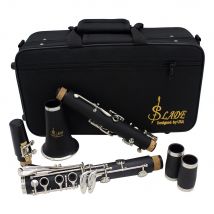 SLADE Bb clarinete 17 teclas baquelita instrumento de viento de madera profesional clarinete Tenor con caja lengüeta piezas de instrumentos musicales