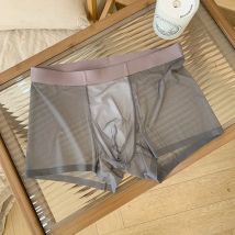 Eis Seide Männer Unterwäsche Nahtlose Transparente Boxer Shorts Sexy Ultra-dünne Atmungsaktive Höschen Männlichen Schnell Trocknend U Pouch Unterhose
