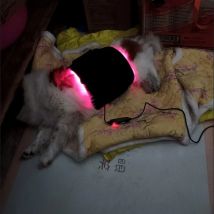 Cold Laser Therapy Device for Dogs Infrared Light Therapy for Pets Red Light Therapy Belt for Joint and Muscle Pain Relief