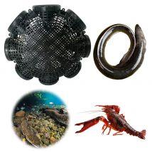 6/8 fori granchio gamberi gamberetti fuso anguille trappole rete trappola da pesca gamberetti trappola gabbia accessori per la pesca