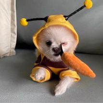 Hundebienen-Modifikationsset Schnauzer Kleidung Onesie Plüsch Welpe Kätzchen Kapuze Herbst/Winter 1-teilig