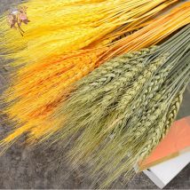 100Pcs Natural Dried Flower Wheat Ear Bouquet for Wedding Supplies Party Decor DIY Craft Christmas Decorations Photography Props