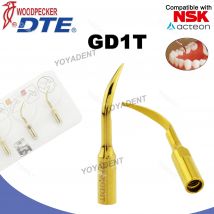 Woodpecker DTE Dental Ultraschall Scaler Tipps Skalierung Tipps Golden GD1T Fit NSK SATELEC Zahnmedizin Instrumente Medizinisches Zubehör