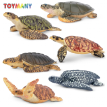 6Pcs Toymany Simulation Meeresschildkröte Figuren Ozean Tier Modell Action Spielzeug für Kinder Kinder Geschenk Set Mini Sammeln Figuren