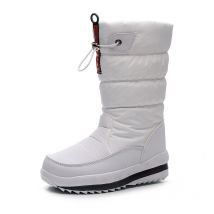 2025 NEUE Winter Stiefel Dicken Plüsch Wasserdicht Nicht-slip Stiefel Mode Frauen Winter Schuhe Warme Pelz Frauen Schnee Stiefel plattform