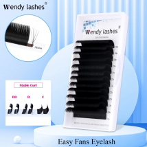 Wendy Lashes Easy Fan Lashes Premade Volume Fans Eyelash Extension Fast Blooming Fans Mink Lashes Natural Silk Lash Extension