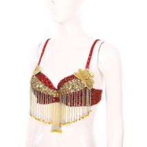Womens Sequin Belly Dance Bra Tops with Beaded Tassels Dance Costume for Music Festival Club Belly Dance Wear Rave Clubwear