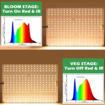 Samsung QBD LED Grow Light 150W Vollspektrum lm281b pro Veg and Bloom Phyto-Lampenbeleuchtung
