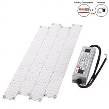 4 Stück 60 W Samsung LM301H Quantum LED-Lichtleistenplatine dimmbar Meanwell 240 W Treiber XLG-240-H-AB DIY Pflanzenwachstumslampe