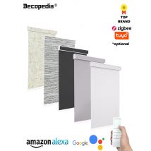 Decopedia Roller Blinds for Windows Motorized Cordless Smart Window Blinds Blackout Roller Day and Night Curtain for Living Room