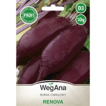 Renova rote Rote Bete 10g VegAna-Samen
