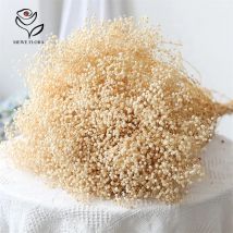 Flores secas reales Gypsophila ramo de aliento de bebé Gypsophile regalo de San Valentín decoración para fiesta de boda Boho decoración de foto para el hogar