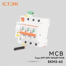 ETEK Tuya WIFI Smart Circuit Breaker MCB Smart Life Telecomando Protezione da cortocircuito Temporizzato 2P 16A 25A 32A 40A 63A EKR3