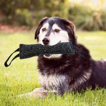 Hund Training Biss Stick Doppel Griff Interaktives Spielzeug Zähne Schleifen Hund Training Stick Haustier Hund Training Jute Hülse Hund Spielzeug