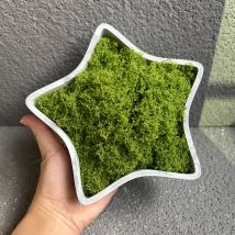 Pentagramm Ablage Beton Pflanzer Topf Form Mini Hohl Stern Gips Harz Kerzenhalter Ornament Silikon Form DIY Wohnkultur