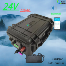 24V 120Ah 100Ah LiFepo4 batería de litio rion con BMS para motor de barco de pesca AGV coche camión caravana marina + cargador camping