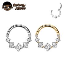 Implantatqualität F136 Titan Luxus Quadrat Zirkonia Nasenringe Piercing 16G Clicker Scharniersegment Hoop Ring Helix Daith Ohrring