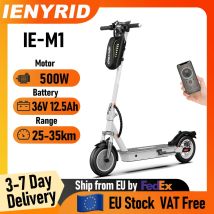 IENYRID M1 Elektroroller 250W 36V 12,5 AH Akku 10-Zoll City-Reifen LED SMART Digital-Display Erwachsenen-City-E-Scooter