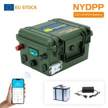 Batteria 12V Lifepo4 60AH/80AH/100AH/120AH batteria lifepo4 Batteria al litio 12V Batteria al fosfato di litio 12v con caricatore 10A