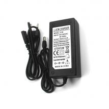 4.2V 8.4V 12.6V 16.8V 21V 25.2V 29.4V 2A 3A 5A Intelligence Lithium Li-ion Battery Charger For Lithium Polymer Battery Pack