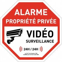Auffälliges No-Bild-Straßen-Metallschild, ausgestattet mit Video-Alarmmarkierung, verbotener Zugang auf Privater Eigentum, No Enter Turn