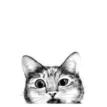 Funny Kitty Cat Black White Kids Nordic Posters And Prints Wall Art Canvas Painting Wall Pictures For Living Room Salon Decor