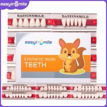 16/12 Sets Zahnzähne für Zahnersatz, Acryl-A2-Harzzzähne, oberes anteriores A3, 2 Schichten, Zahnmedizinisches Bildungsmodell EASYINSMILE