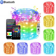 1m-50m Weihnachts beleuchtung ws2812 LED Lichterkette Licht für Home Party Dekoration USB Smart Bluetooth Vorhang Lichter Girlande
