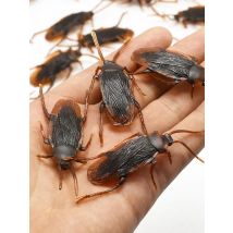 5-50Pcs Halloween gadget Plastic Cockroaches Joke Decoration Props Rubber Toy Gags Practical Jokes Toys Plastic Bugs Cockroach